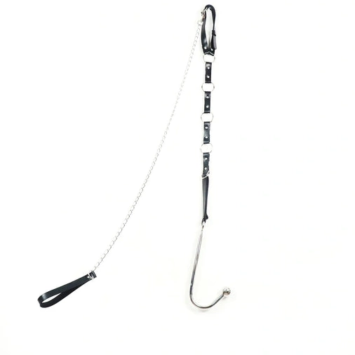 Anal Hooks EverydayUse Anal Kinky and 5853 Collar with Hook Leash 0111